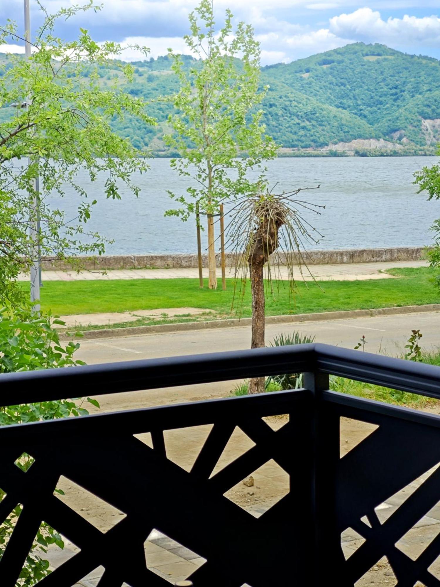 Apartman Julija Donji Milanovac Bagian luar foto